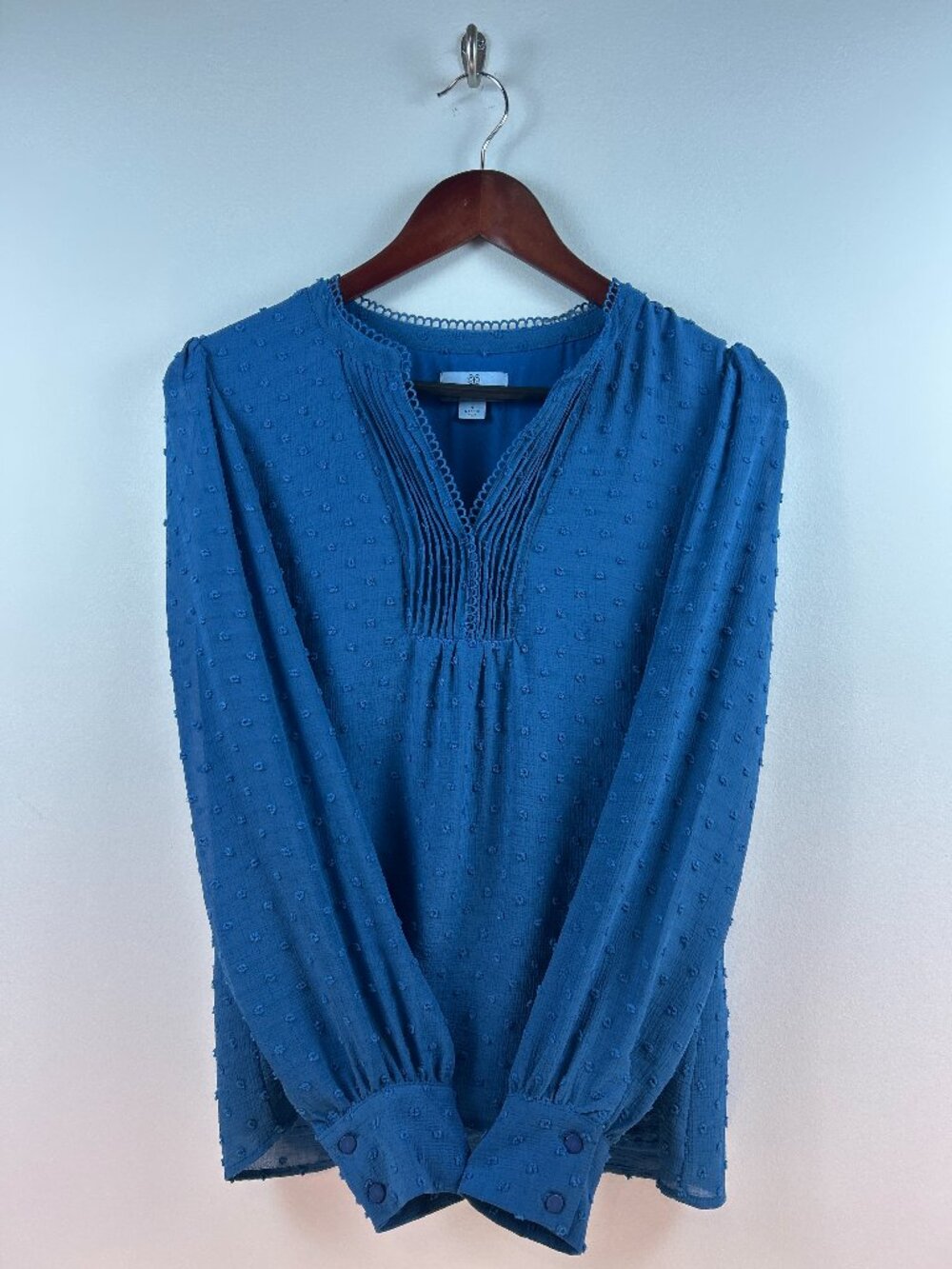 CeCe Blue Swiss Dot Long Sleeve Blouse Size S